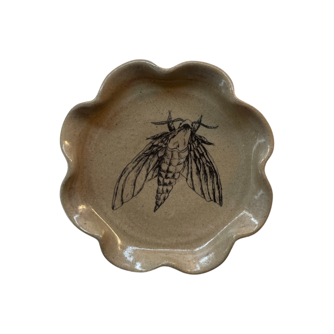 Frilly Dish - Moth
