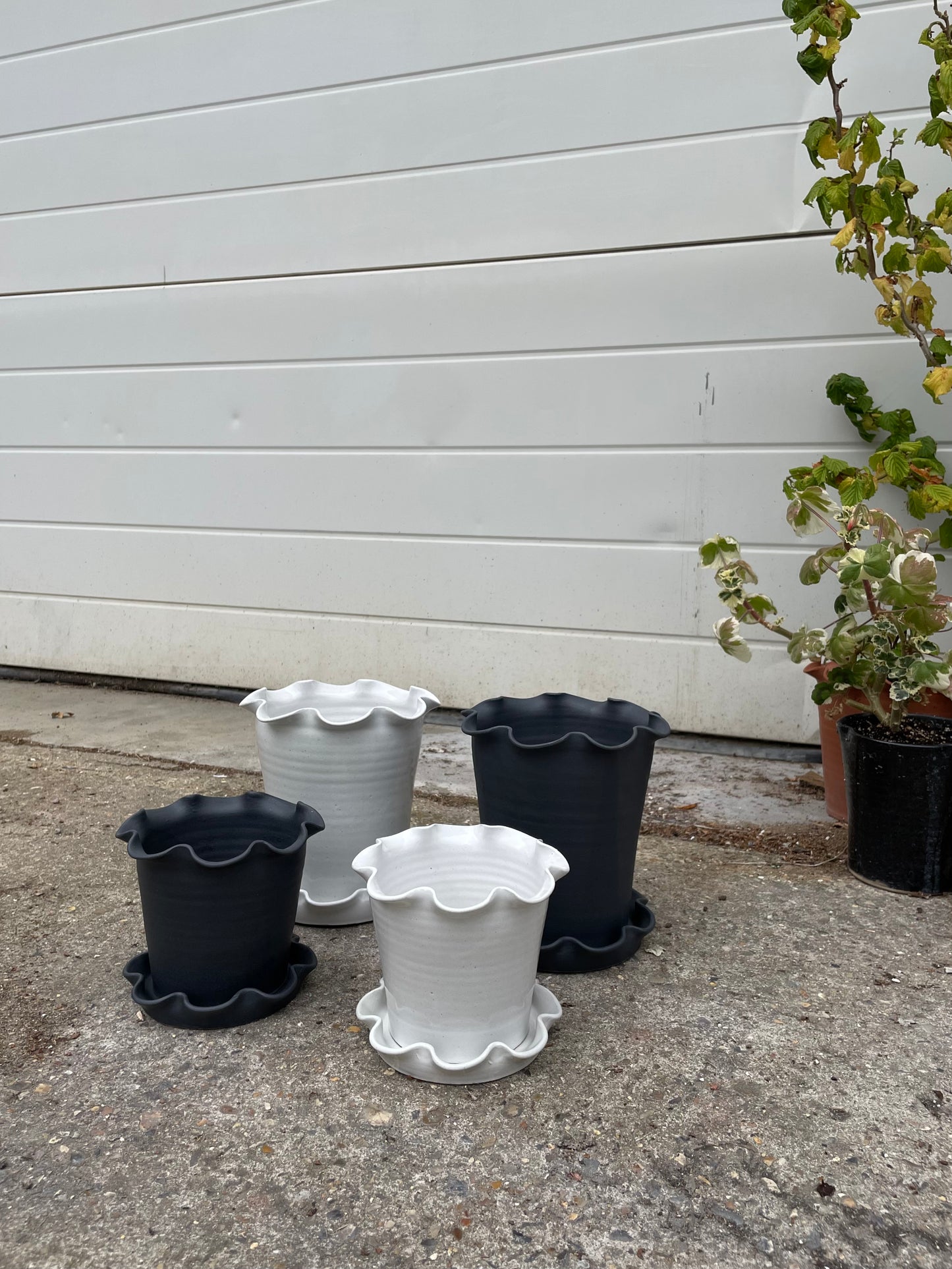 Frilly Pot - White