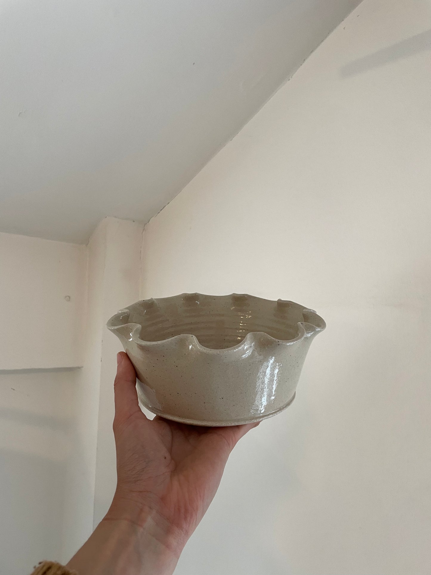 Frilly Dog Bowl