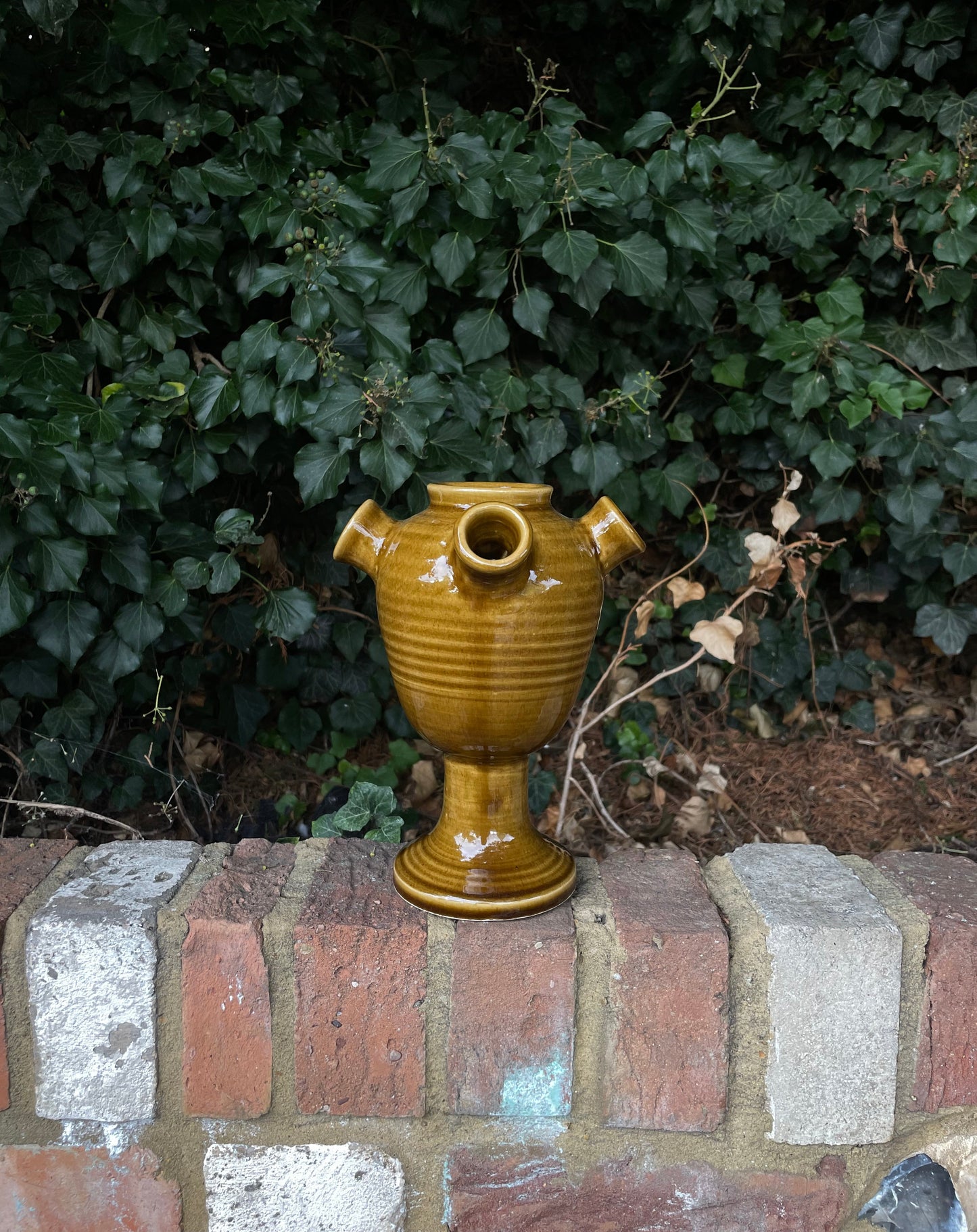 Stoneware Tulipiere - Honey Glaze