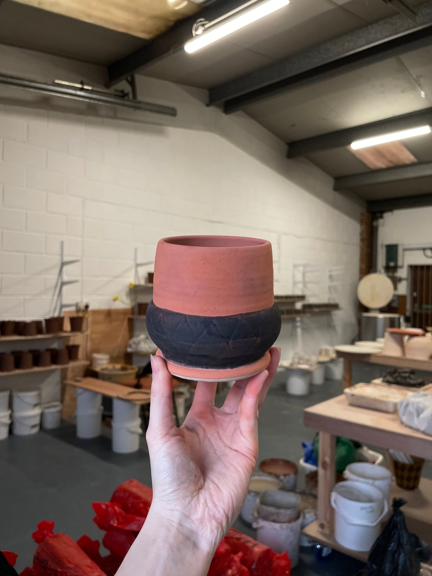 Acorn Pot #2