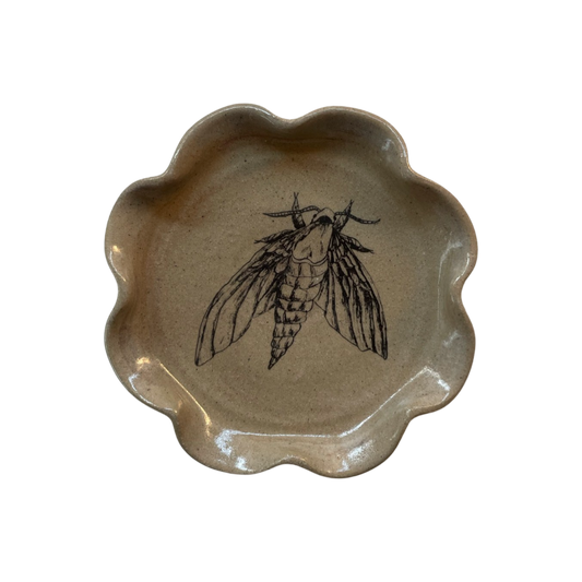 Frilly Dish - Moth