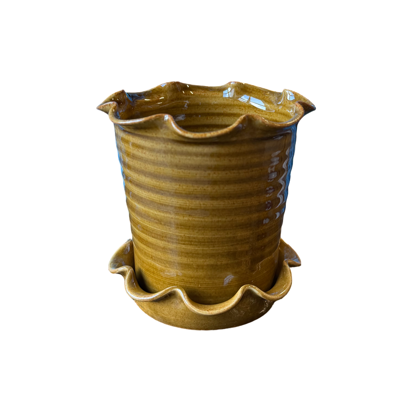 Frilly Pot - Honey
