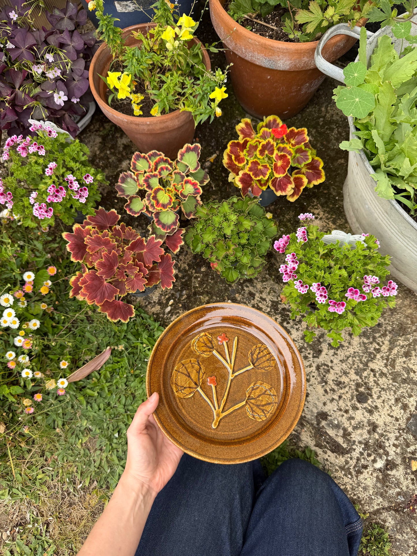 Person holding a ceramic plate with floral design in a garden setting