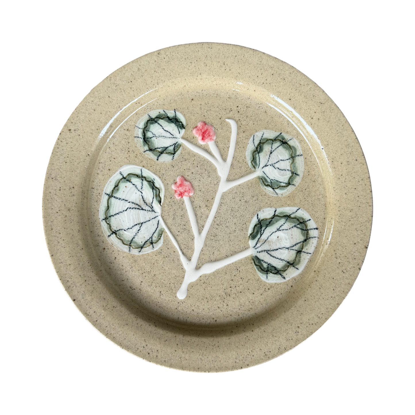 Pelargonium Dinner Plate - #18