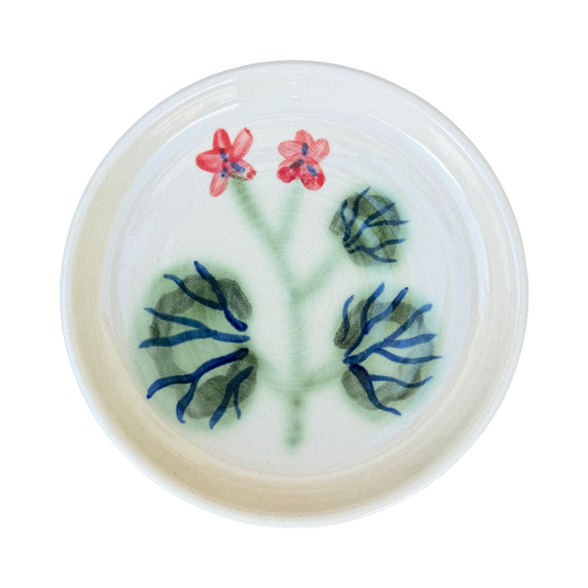 Pelargonium Dish