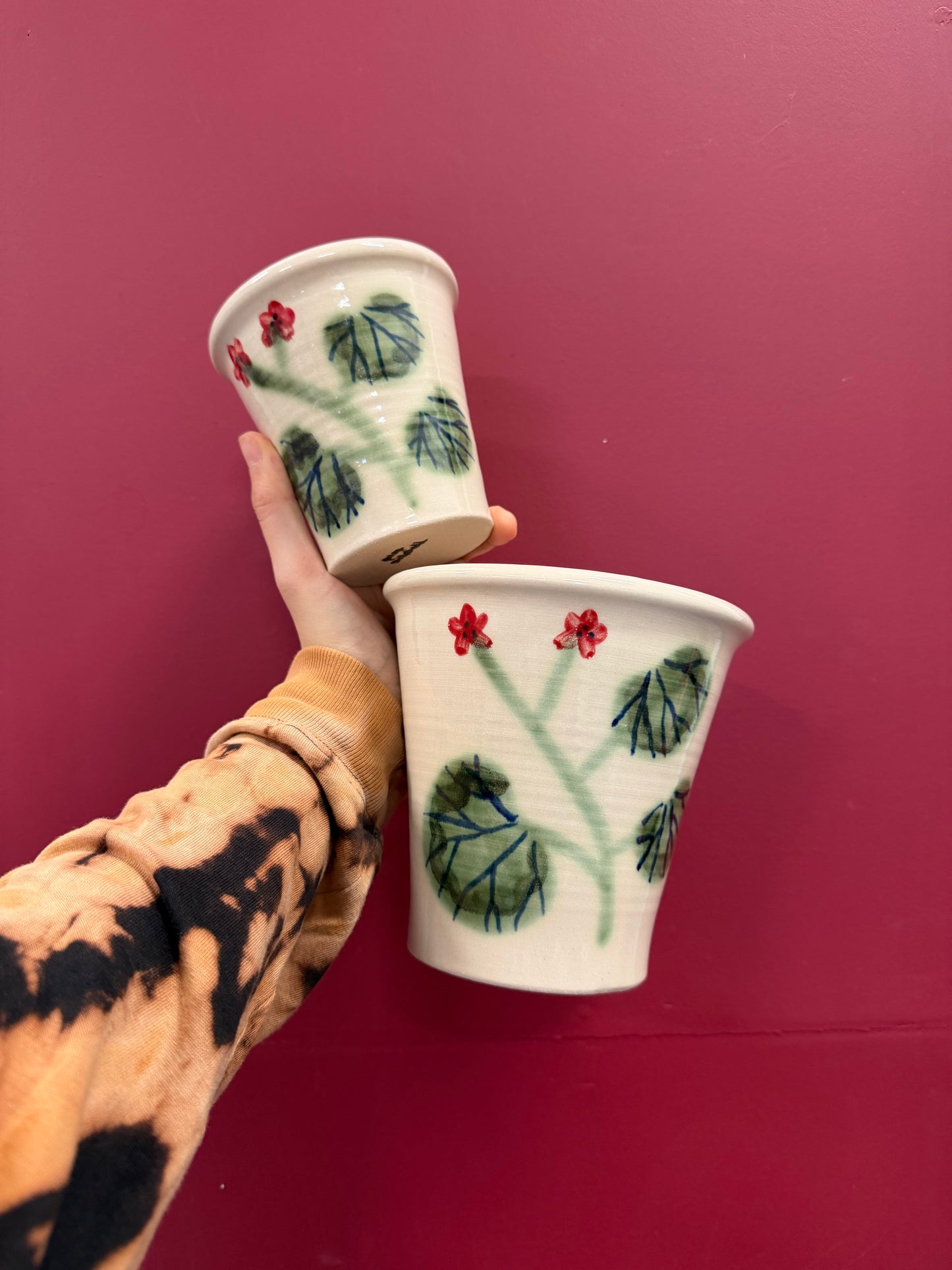 Pelargonium Pot