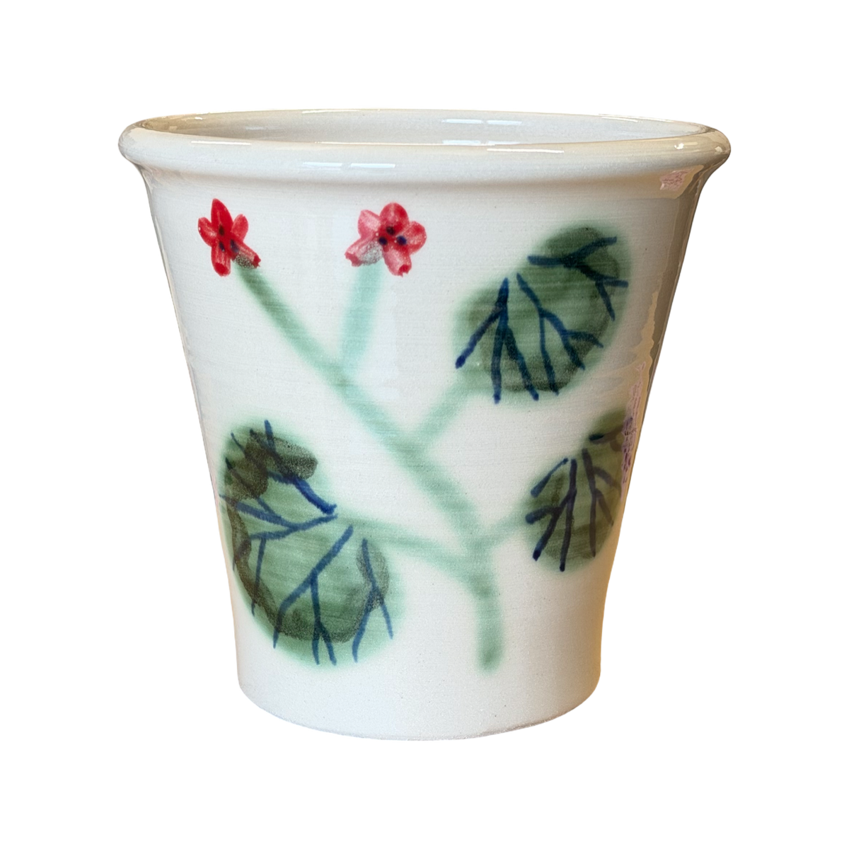Pelargonium Pot
