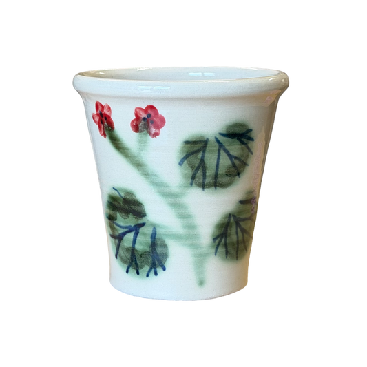 Pelargonium Pot