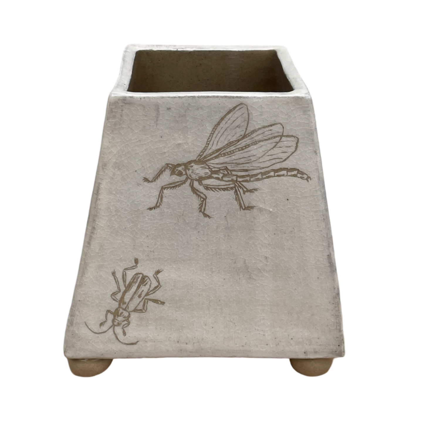 Bugs Vase