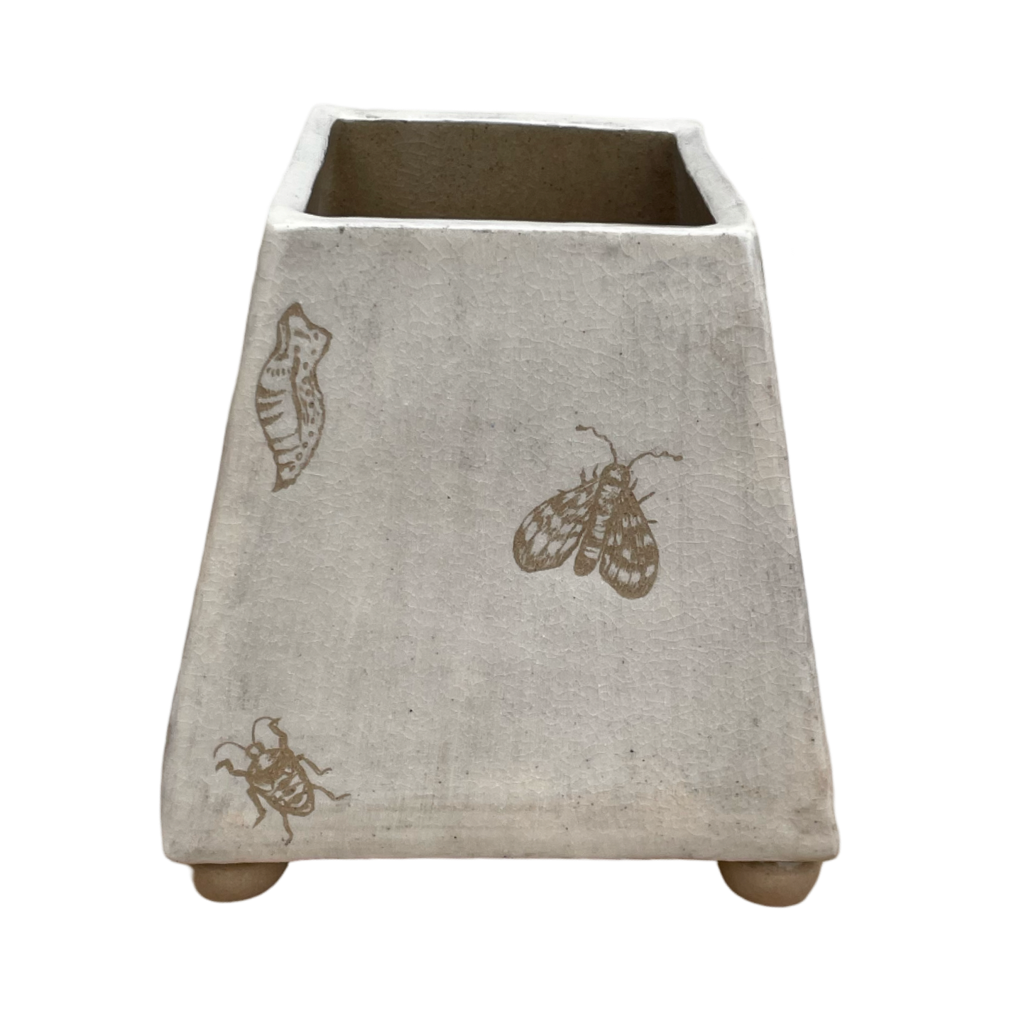 Bugs Vase