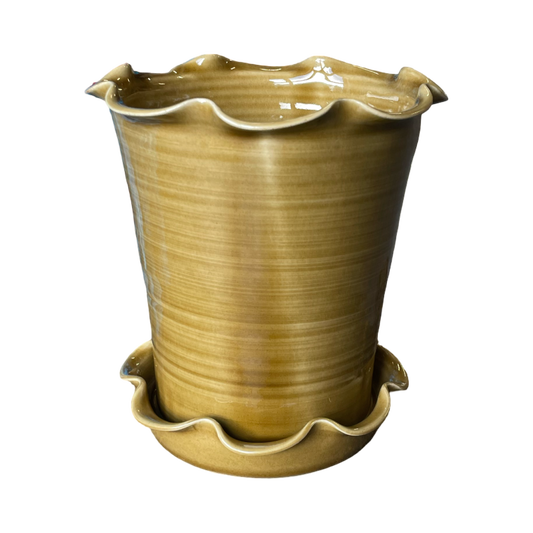 Frilly Pot - Honey