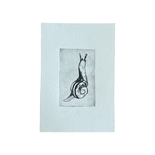 Snail Drypoint